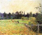 Cattle, Camille Pissarro